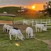moran moran - @moran.moran17 - TikTok