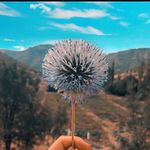 gonde ora - @page_gonde_ora - Instagram