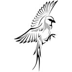 Ora Popo - Facebook