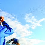Ora	Reid - @birdwatching_reid - Instagram
