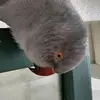 Ora Rivers - @ora.rivers - TikTok