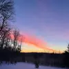 Cora - @coraroach - TikTok