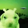 🦄𝓒𝓵𝓪𝓲𝓻𝓮🦕 - @oramismart - TikTok