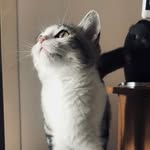 Nora.Snow - @nora__snow - Instagram