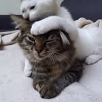 Ora & Snow - @les_inchaparables - Instagram
