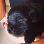 Ora Stevens - @boothelela - Instagram