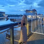 Norah Sullivan - @norah_.sullivan - Instagram