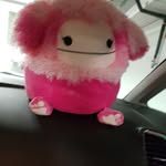 Nora Wagner - @norawagner2010 - Instagram