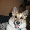 Nora Watts857 - @norawatts - TikTok