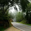 Ora Watts - @ora.watts - TikTok