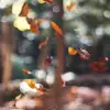 noraweaver6893_54 - @norawaaw8j7 - TikTok