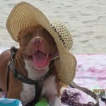 Lenora Wiggins - @lenora.wiggins - Instagram