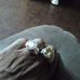 Oran Harper - Facebook