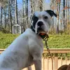 Orin Brown - @orin.brown0 - TikTok
