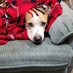 Orin Cameron - @orin.cameron - Instagram