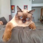 orion - @orion_rodriguez_ortuno - Instagram