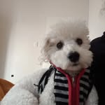 orion valentin rodriguez - @aventurasdeorion.31 - Instagram