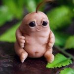Orion Smith - @orion.smith - Instagram