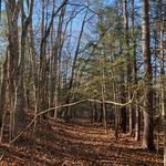 Orion Smith - @orion.seneca.smith - Instagram