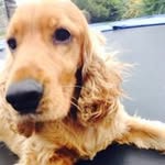 Orla Casey - @ocasey988 - Instagram