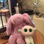 Orla Collins - @lily_maylife - Instagram
