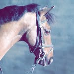 Orla Duffy Fanpage 😍 - @orladuffy_fanpage - Instagram