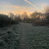 Orlaith ✨🫶🏻 - @orlaith.johnston15 - TikTok