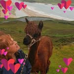 Orla Kavanagh - @orlakavanagh138 - Instagram