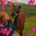 Orla Kavanagh - Facebook