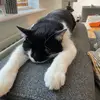 orlakavanagh945 - @orlakavanagh945 - TikTok