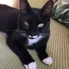 Órla Moran - @orls27 - TikTok