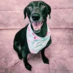 Orla Young - @orlayoung3 - Instagram