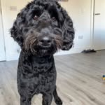 Orla young - @simplyorla1 - Instagram