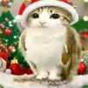 muñaño - @orlandoali123 - TikTok