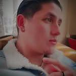 Gatinho - @orlando_bellott - Instagram