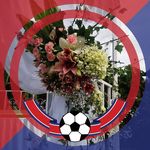Orlando Bolaños - @orlandobol - Instagram