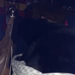 Orville Wright - @orville_2011 - Instagram