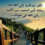 Osama Eisa - @osama.eisa.104 - Instagram