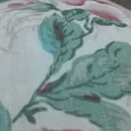 Osbaldo Campos - Facebook
