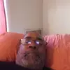 Bernard - @osbeycrider - TikTok