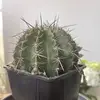 Oscar Alejandre - @oscar.alejandre - TikTok