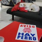 Oscar Amparan - @racsoamp - Instagram