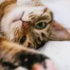 Oscar_Anderberg3 - @oscar_anderberg - TikTok