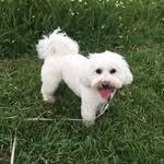 Oscar Archer - @oscar_posca - Instagram
