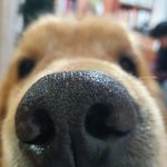 Oscar Archila - @oscar.archila.129 - Instagram