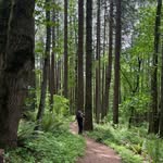 Oscar Arechiga - @oscararechiga07 - Instagram