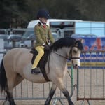 Oscar Atkinson - @oscar_atkinson_ponies - Instagram