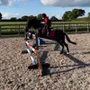 Oscar Atkinson - @oscaratkinsonponies - TikTok