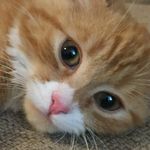 Oscar Bailey - @oscar.bailey.9235 - Instagram
