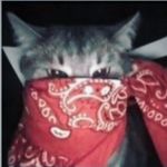 Oscar Bailey - @oscarbailey152 - Instagram